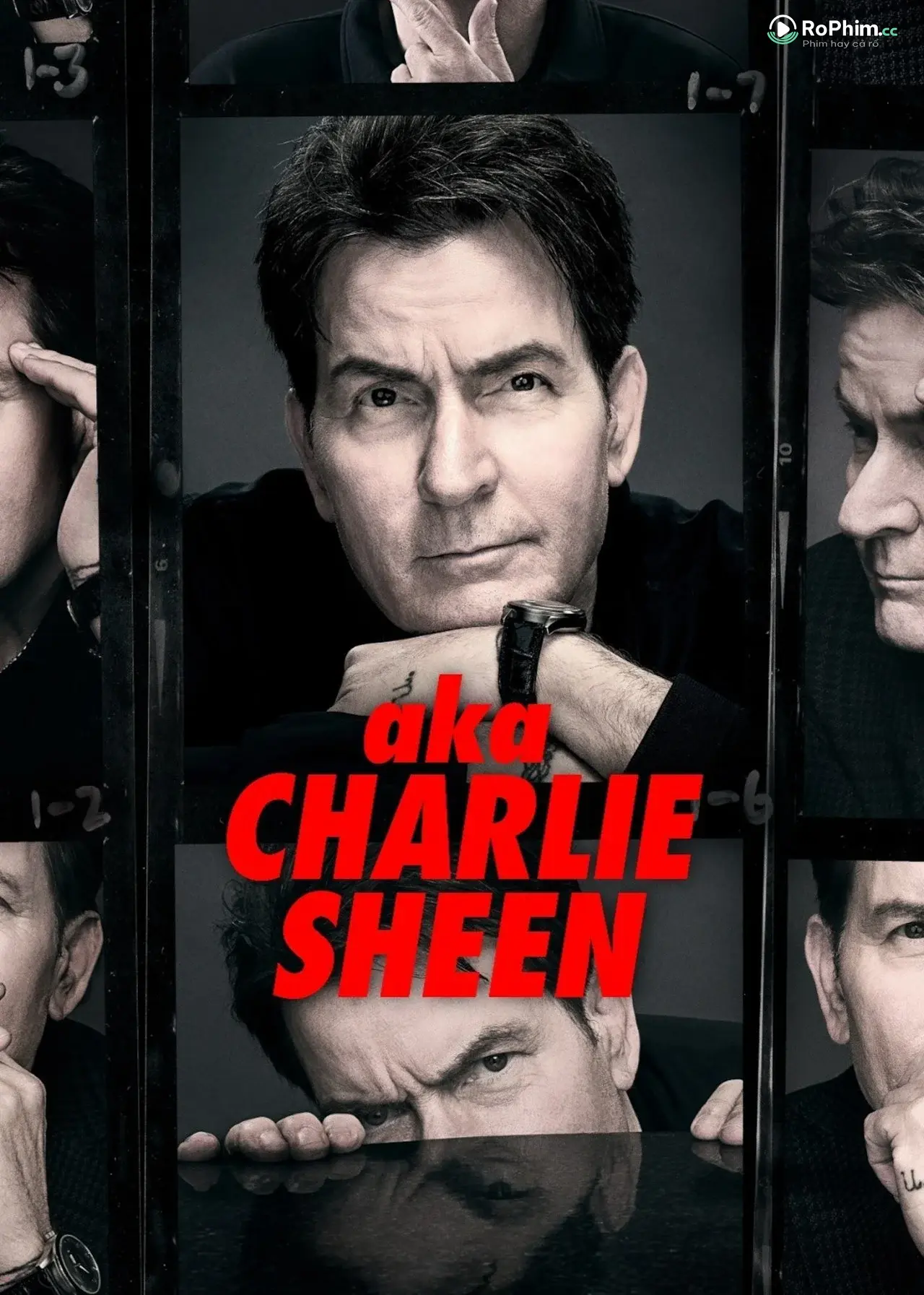 aka Charlie Sheen: The Adult Chronicles