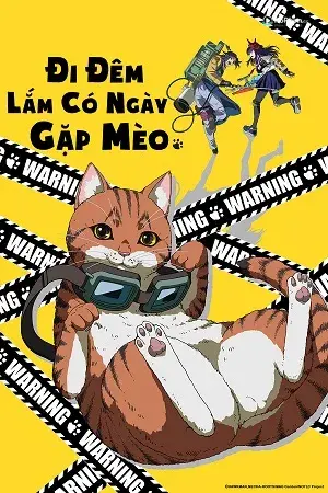 Đêm Thâu Vừa Tiếp Bước Mèo