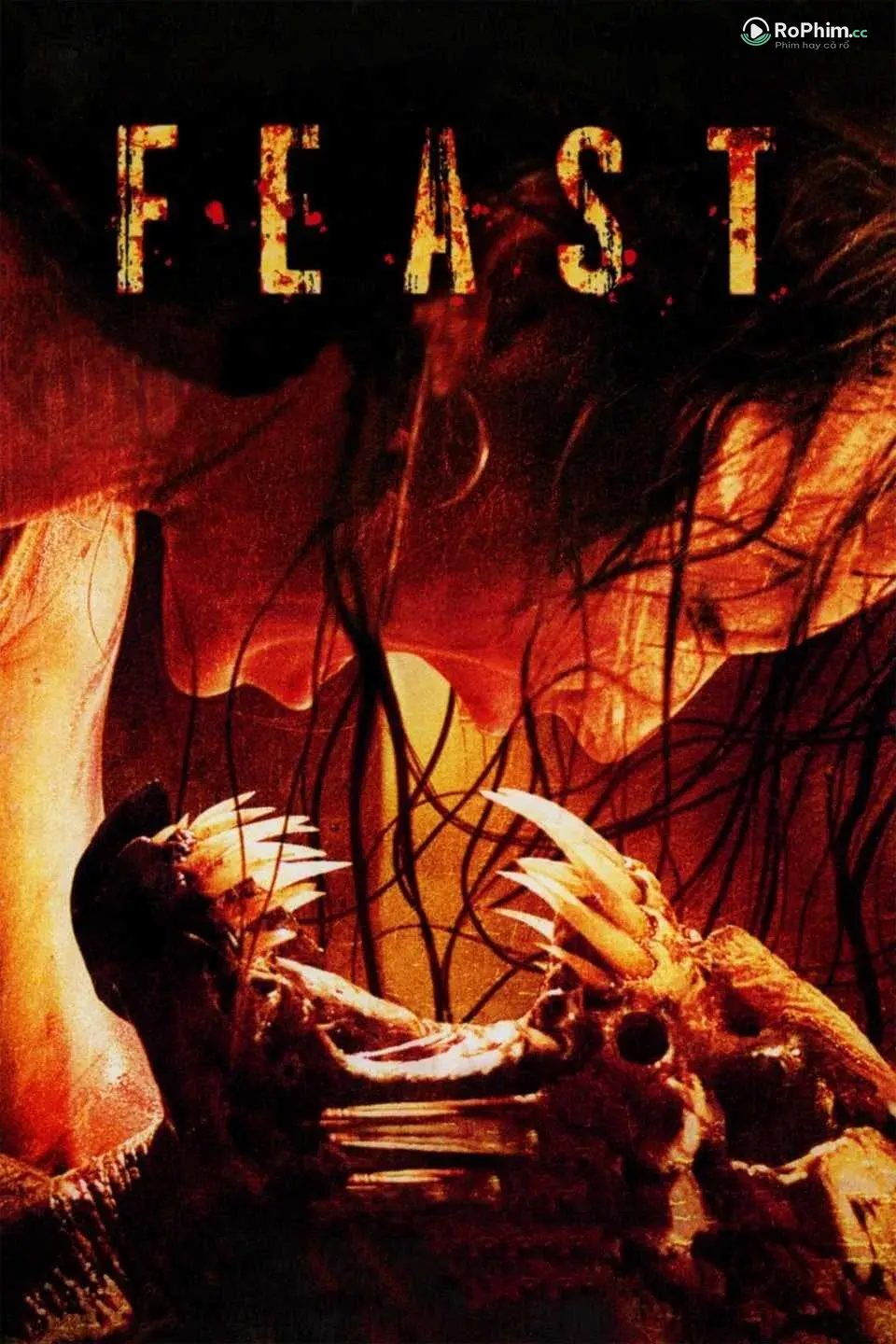 Feast: Indulgence