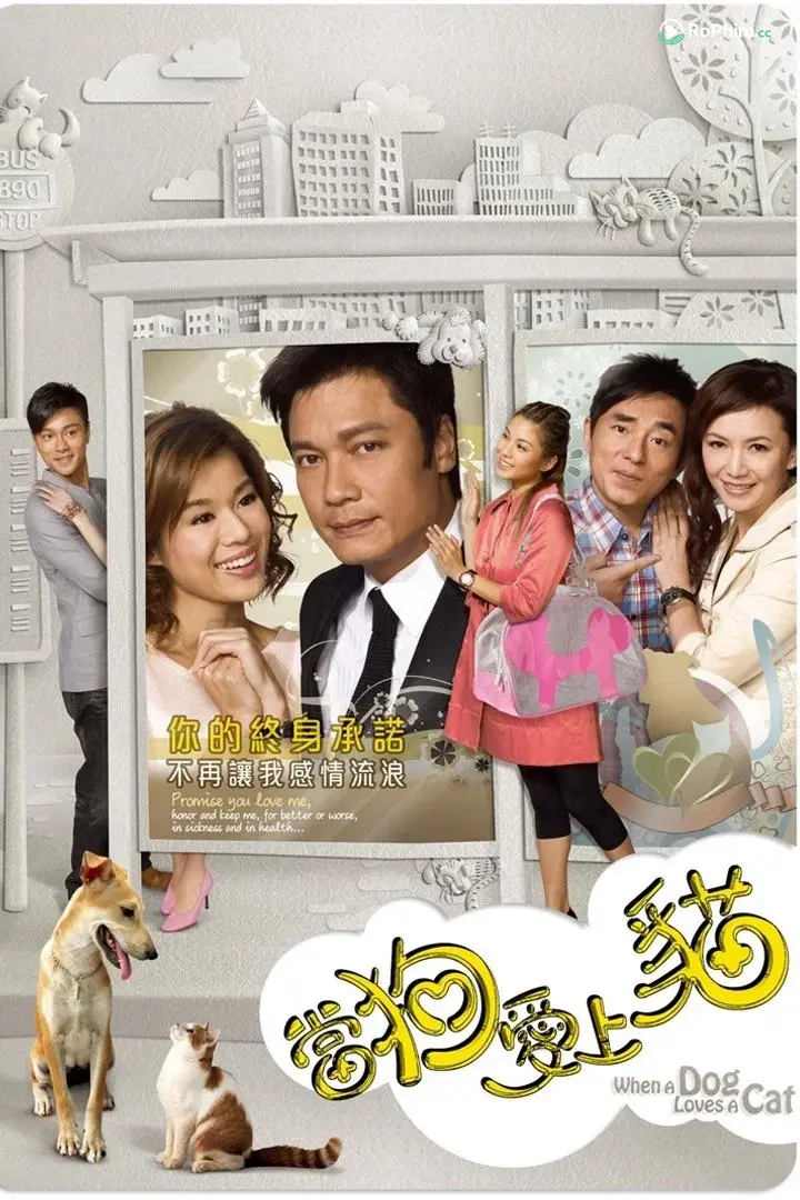 Khi Chó Chớp Mèo Mộng