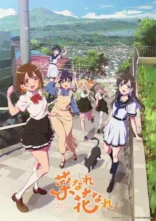 Rina Rusa Hana Rusa